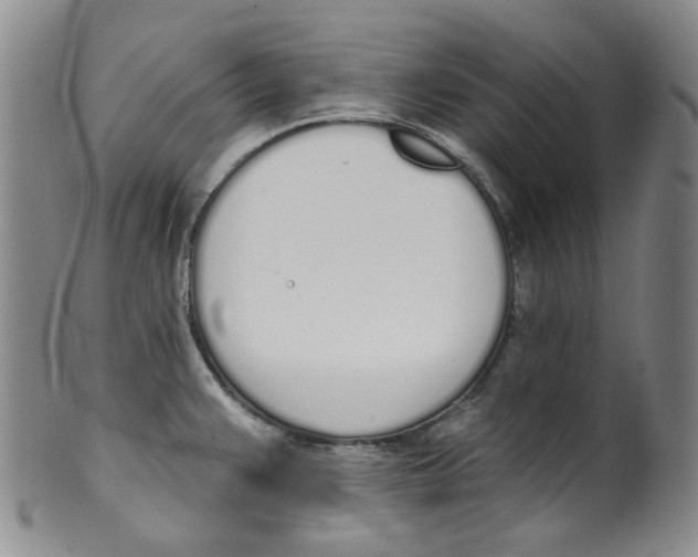 X0000100411383200806271434