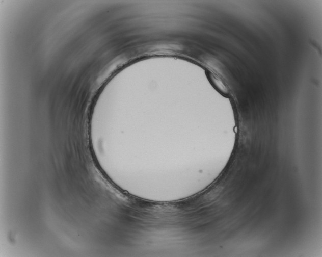 X0000100411384200806271434