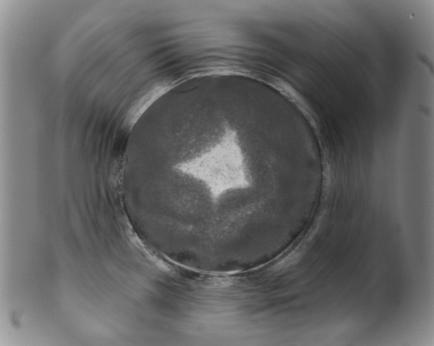 X0000100411385200806271434