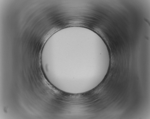 X0000100411386200806271434