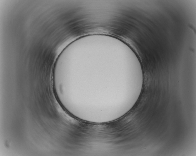 X0000100411387200806271434