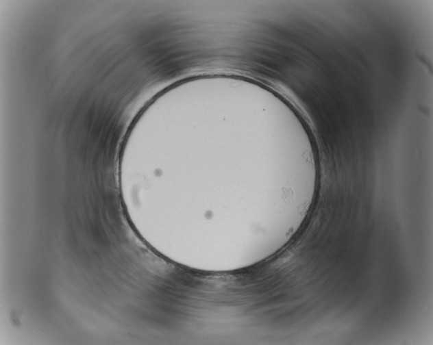 X0000100411388200806271434