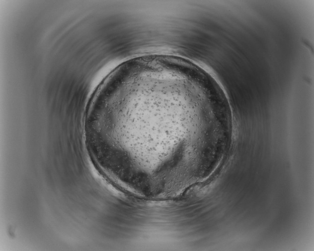 X0000100411389200806271434