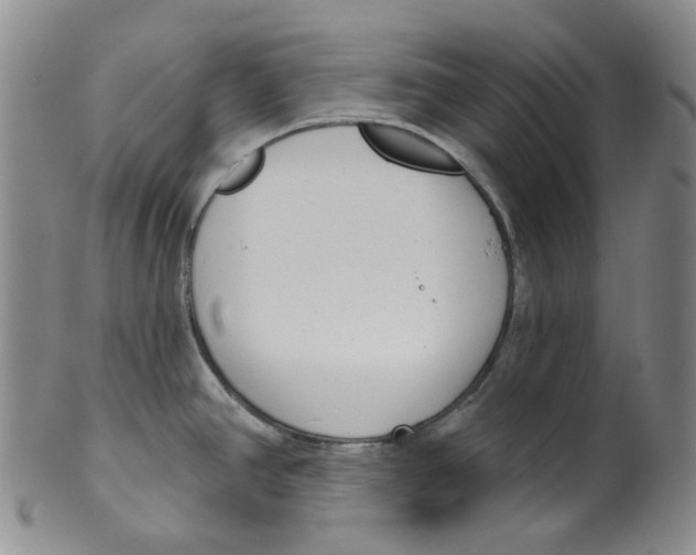 X0000100411390200806271434