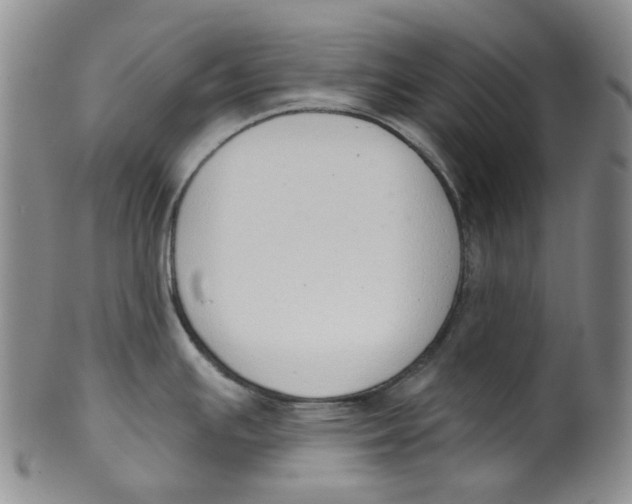 X0000100411391200806271434