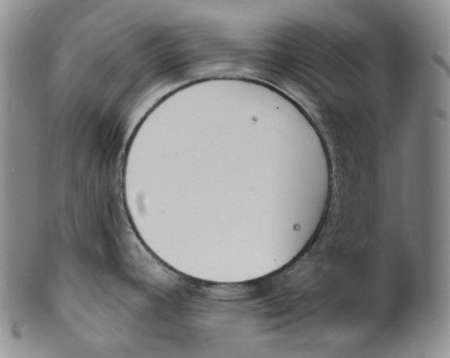 X0000100411392200806271434