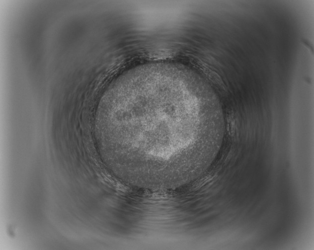 X0000100411393200806271433