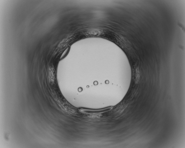 X0000100411394200806271433