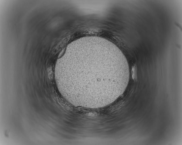 X0000100411395200806271433