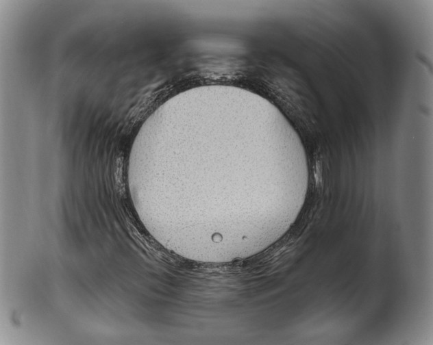 X0000100411396200806271433