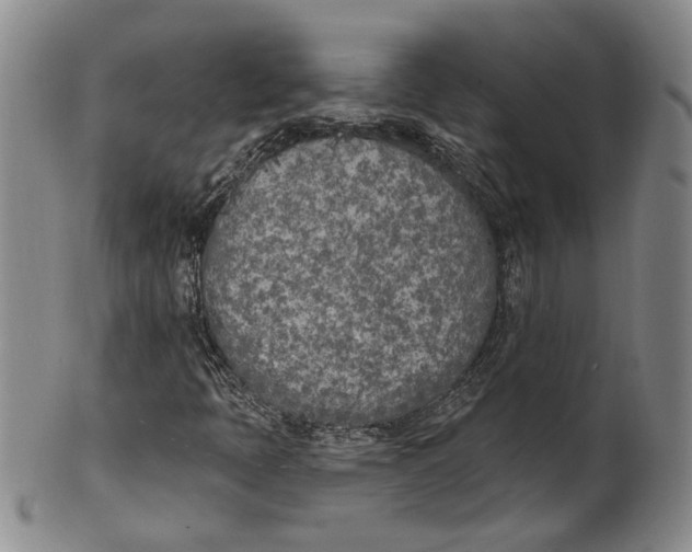 X0000100411397200806271433