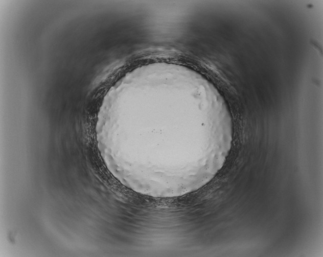 X0000100411399200806271433