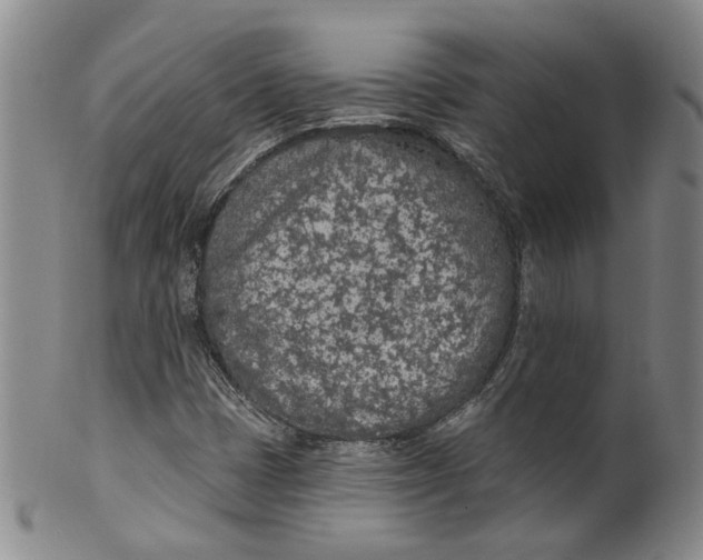 X0000100411401200806271433