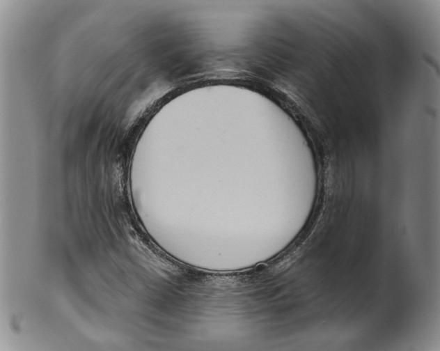 X0000100411402200806271433