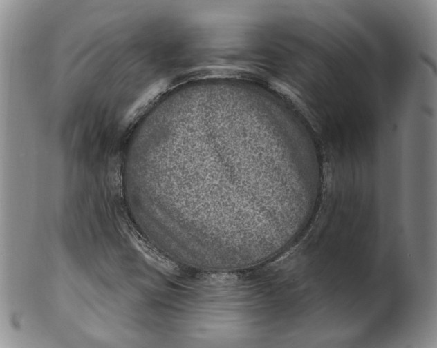 X0000100411403200806271433