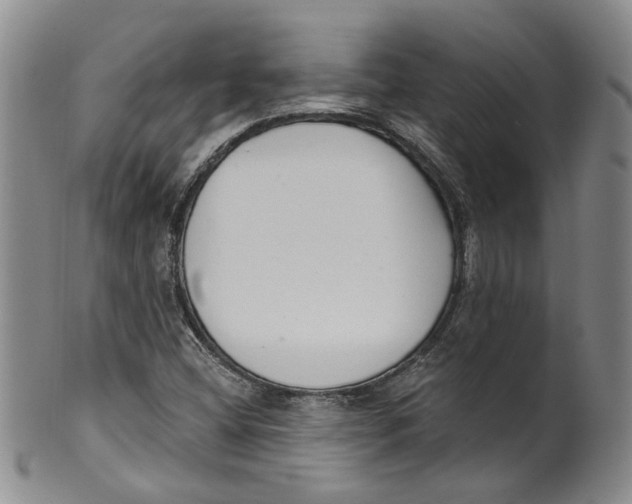 X0000100411404200806271433