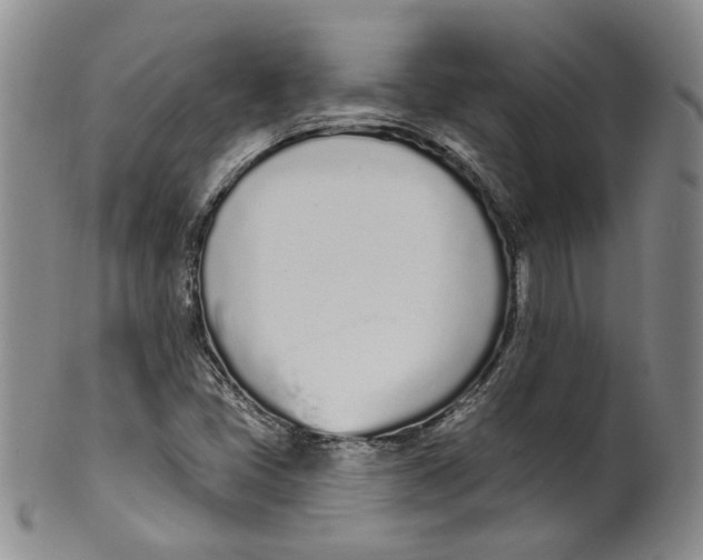 X0000100411405200806271433