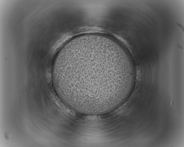 X0000100411407200806271433