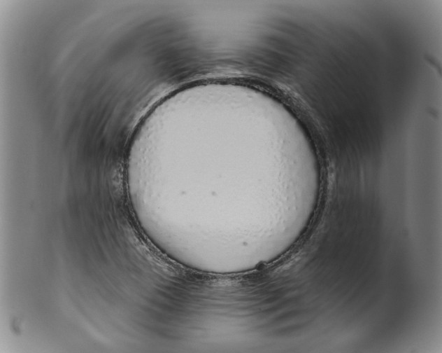 X0000100411409200806271433