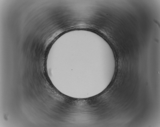 X0000100411410200806271433