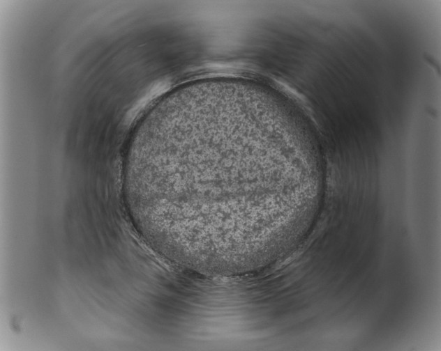 X0000100411411200806271433