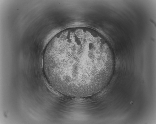 X0000100411413200806271433