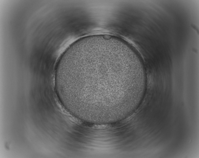 X0000100411415200806271433