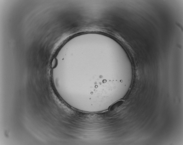 X0000100411416200806271433