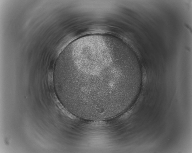 X0000100411417200806271433