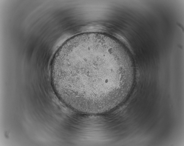 X0000100411419200806271433