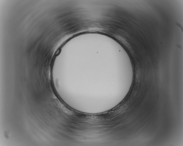 X0000100411420200806271433