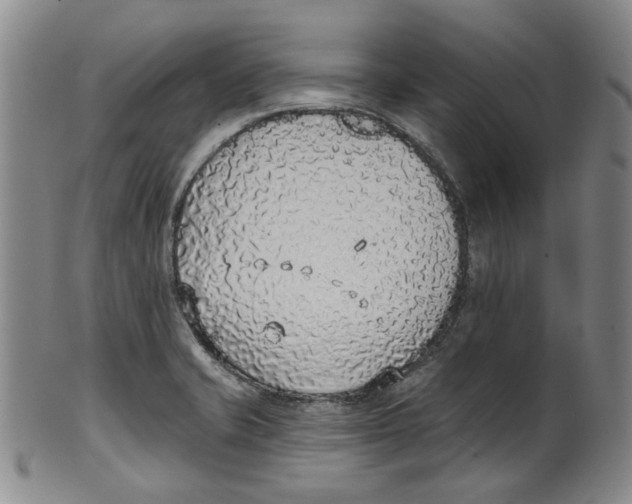 X0000100411421200806271433