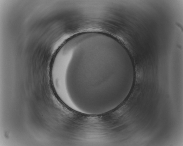 X0000100411422200806271433