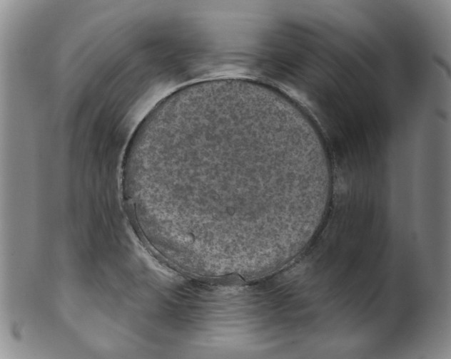 X0000100411423200806271433