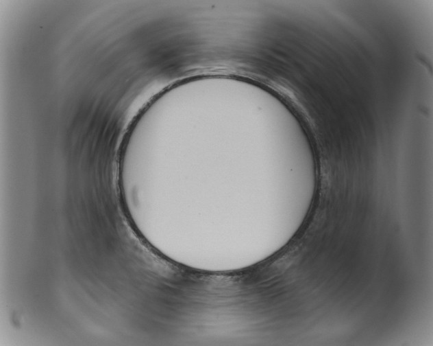 X0000100411424200806271433