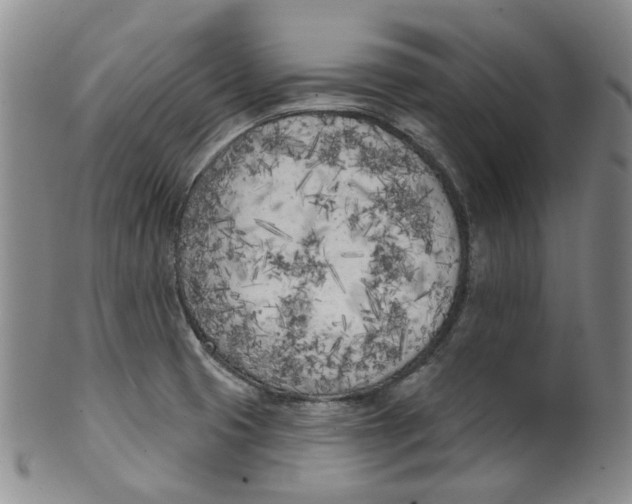 X0000100411425200806271433