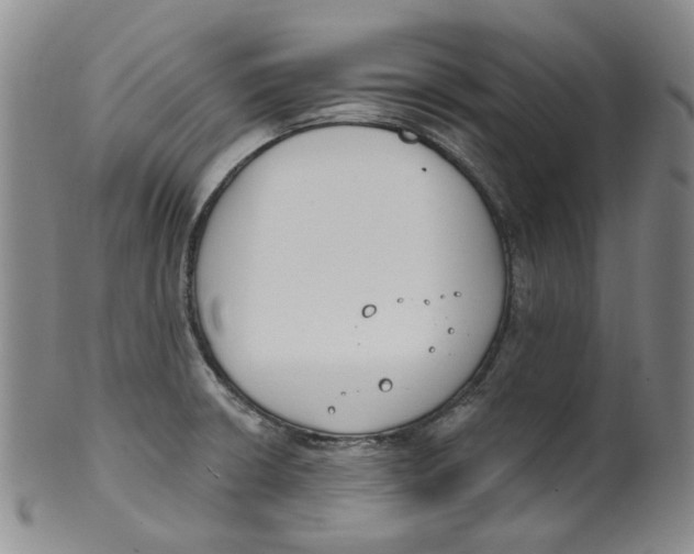 X0000100411426200806271433