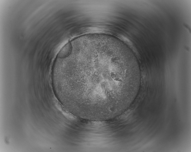 X0000100411427200806271433