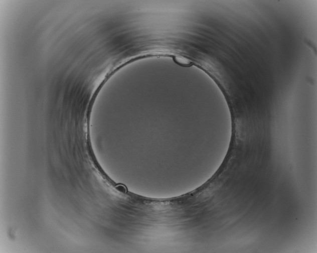 X0000100411428200806271433