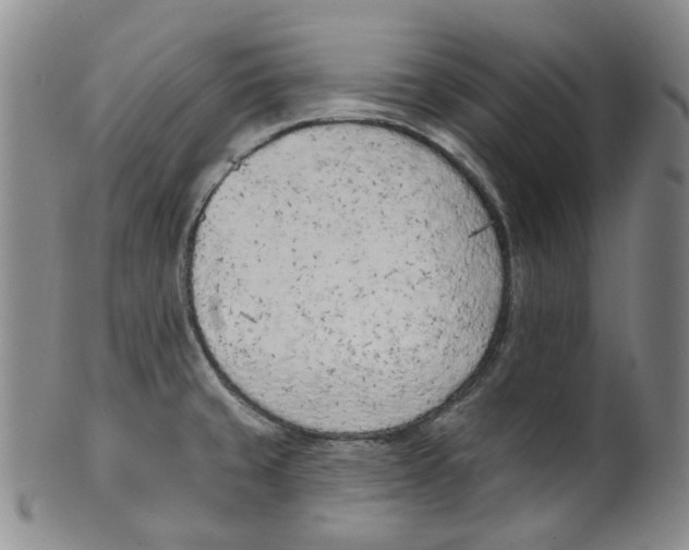 X0000100411429200806271433