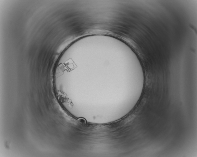 X0000100411430200806271433