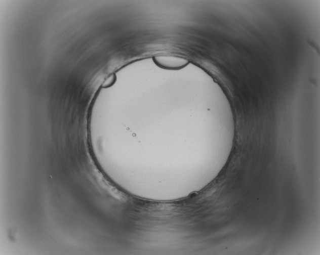 X0000100411431200806271433