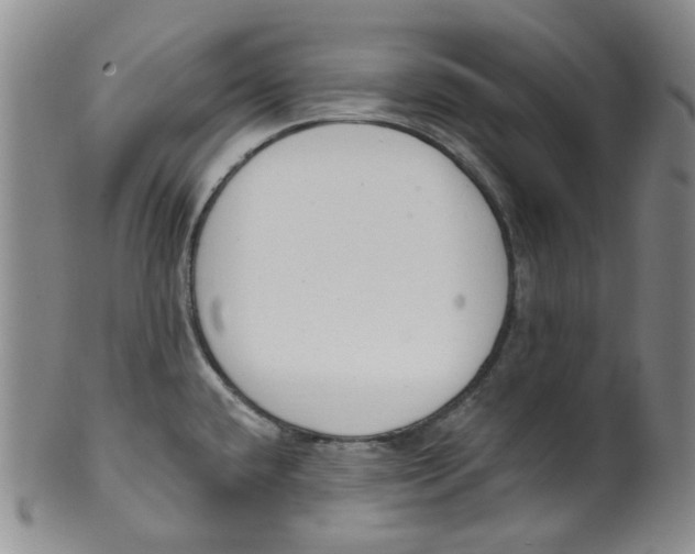 X0000100411432200806271433