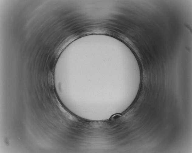 X0000100411433200806271434