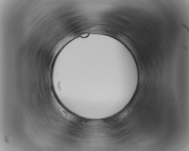 X0000100411434200806271434