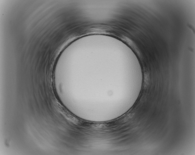 X0000100411435200806271434