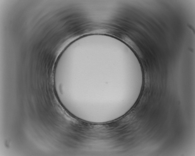 X0000100411436200806271434