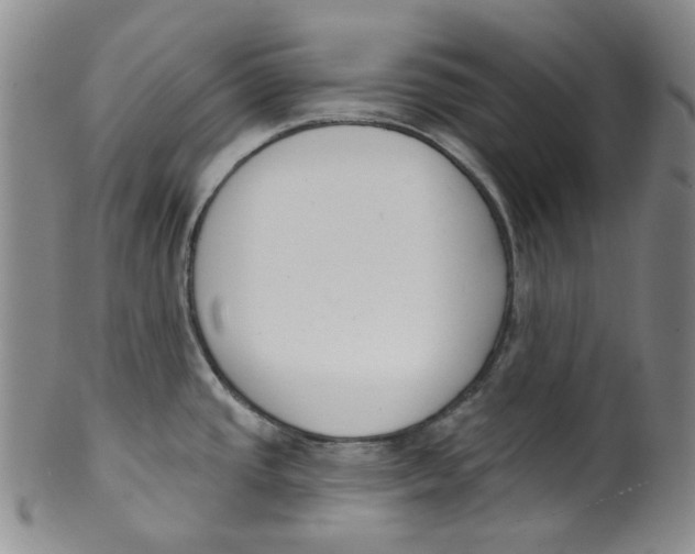 X0000100411437200806271434