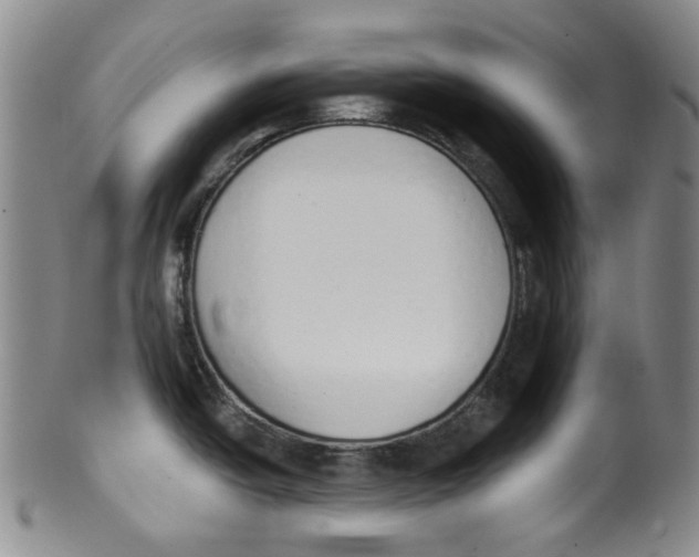 X0000100411438200806271434