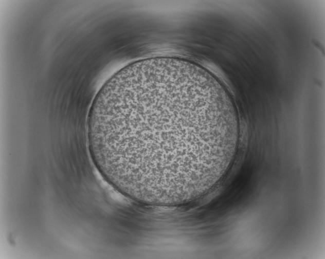 X0000100411439200806271434